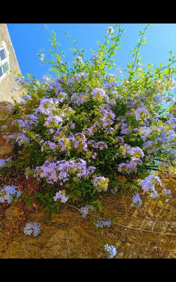 City Walls Sea View Corfu  Экстерьер фото